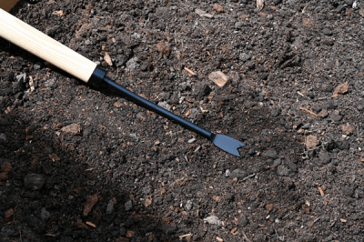 Weeder-Extended handle (Dandelion digger)