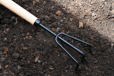 Weeder-Cultivator-Extended handle