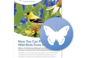 Was Butterfly
