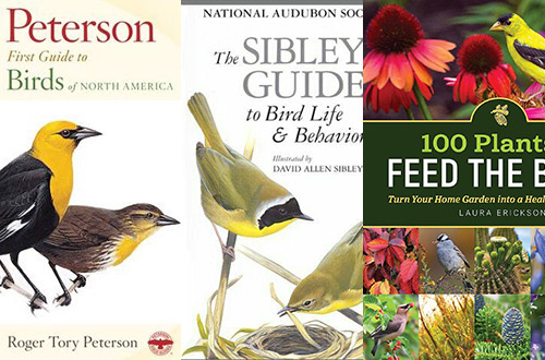 Birding Books