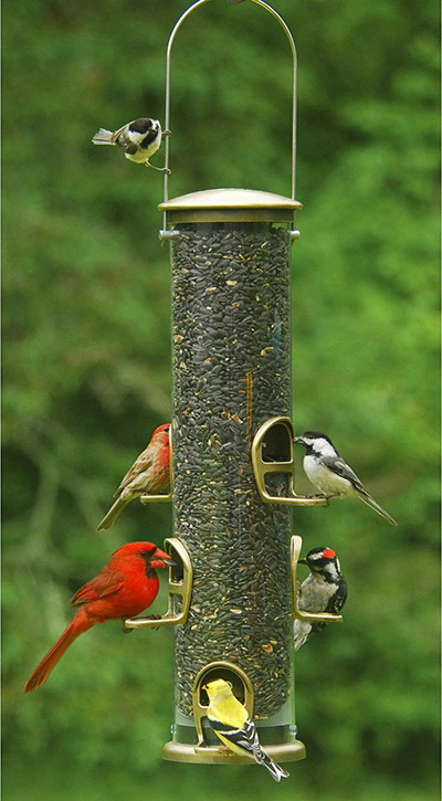 Aspects Big Tube Seed Feeder