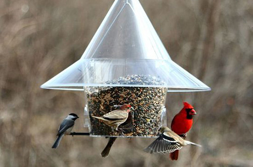 Cardinal Feeders