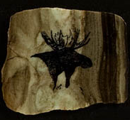 Madoc Rocks - Moose marble coaster