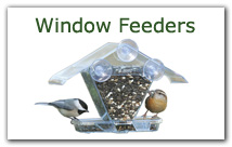 Window Feeders