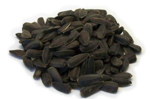 Black Oil Sunflower
