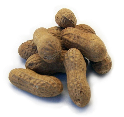 Peanuts in shell - 1lb package