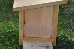 Animal House Blue Bird House