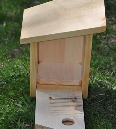 Animal House Blue Bird House