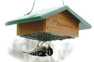 Going Green-Upside down suet feeder