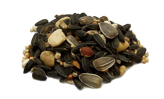 Seasons Woodland Bird food