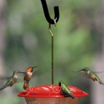 HummZinger Hummingbird Feeder