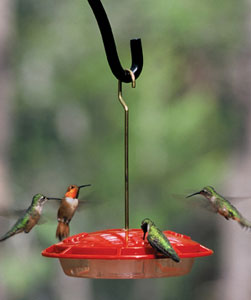 HummZinger Hummingbird Feeder