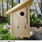 Bird House