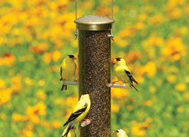 Aspects Nyger 15" Bird Feeder - Brass