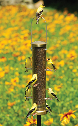 Aspects Nyger 15" Bird Feeder - Brass