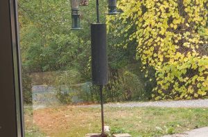 through a window, a squirrel is at the bottom of a bird feeder pole that has four hanging feeders and a squirrel baffle on the pole.