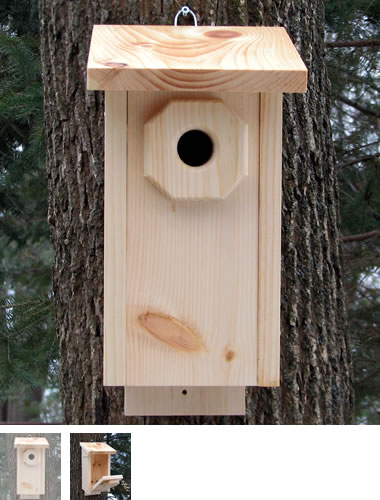 Animal House Chickadee House