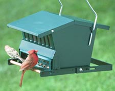 Absolute Metal Bird Feeder-Double sided