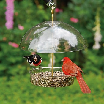 Droll Yankees Seed saver bird feeder