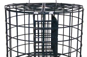 Caged feeder