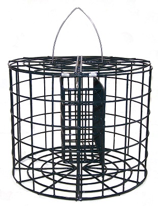 Squirrel proof Caged suet feeder