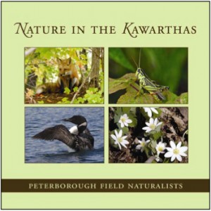 Nature in the Kawartha's