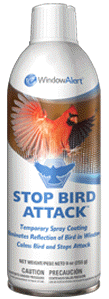 Stop bird attack