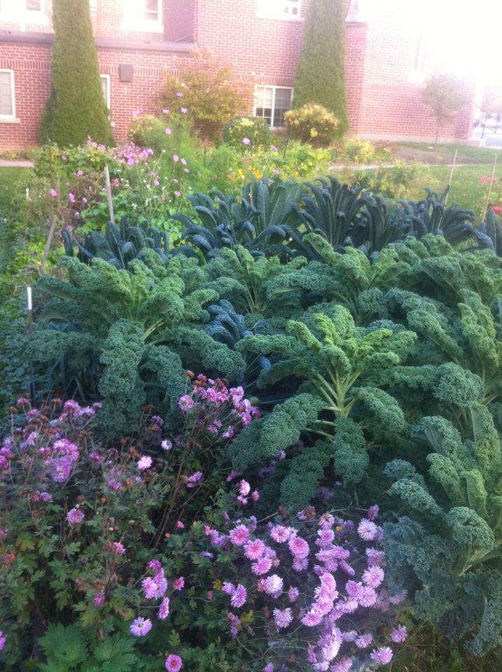 Community Garden