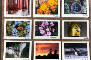 Maureen Raby Mini Photo Cards
