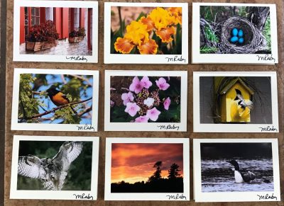 Card - Maureen Raby Photography - Image 2