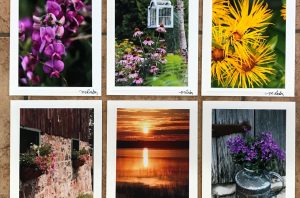 Maureen Raby Photo Cards