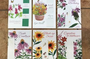 Card - Nature's Garden