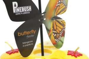 Butterfly nectar and fruit feeder