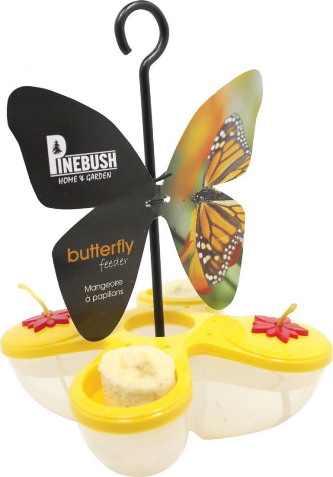 Butterfly nectar and fruit feeder