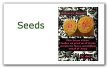 Seeds