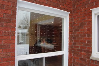 Feather Friendly tape (3 rolls) window dots