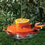 plastic oriole jelly feeder