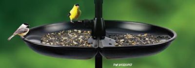 Brome Seed Tray