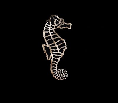 Seahorse (Clear/Silver)