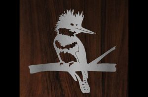 Kingfisher