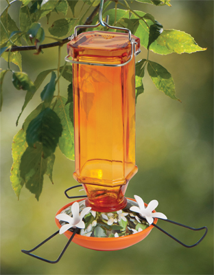 Oriole Feeder The Avant Garden Shop