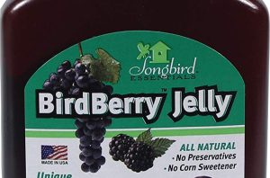 Jelly