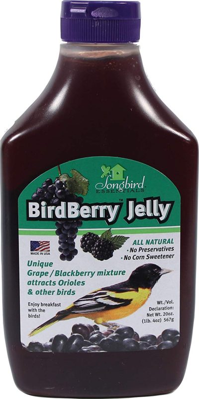 Jelly for orioles (Bird Berry)