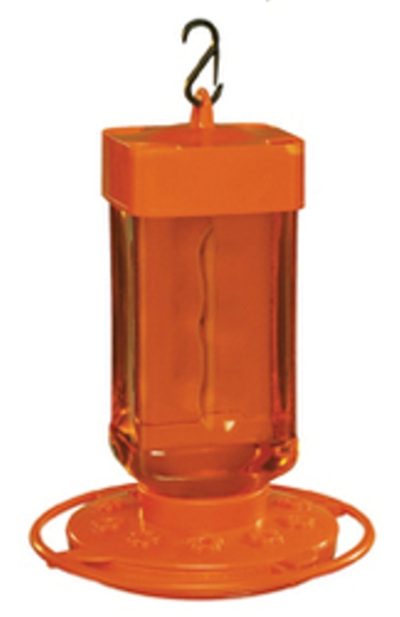 Wide mouth oriole feeder