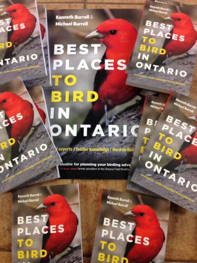 Best Places to Bird in Ontario