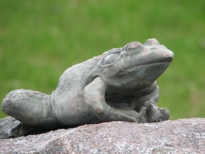 Bull Frog with Patina
