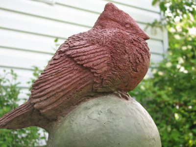 Cardinal