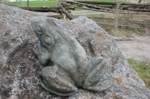 Bull Frog Natural