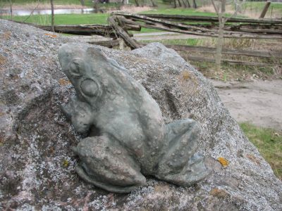 Bull Frog with Patina - Image 2