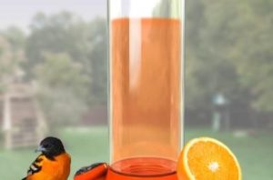 30oz Glass oriole feeder